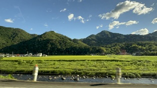 IMG_7616.JPG