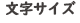 文字の大きさ