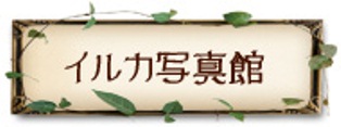 この春！新しいコーナーが誕生！