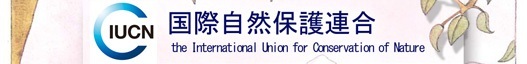 国際自然保護連合