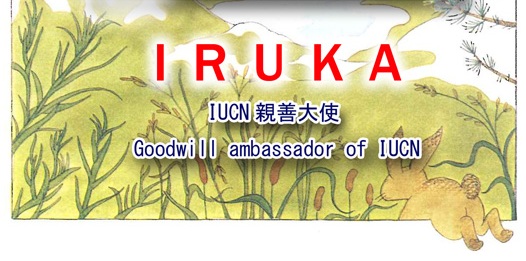 iucn4