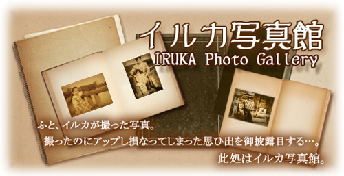 iruka-photogallery-ttl
